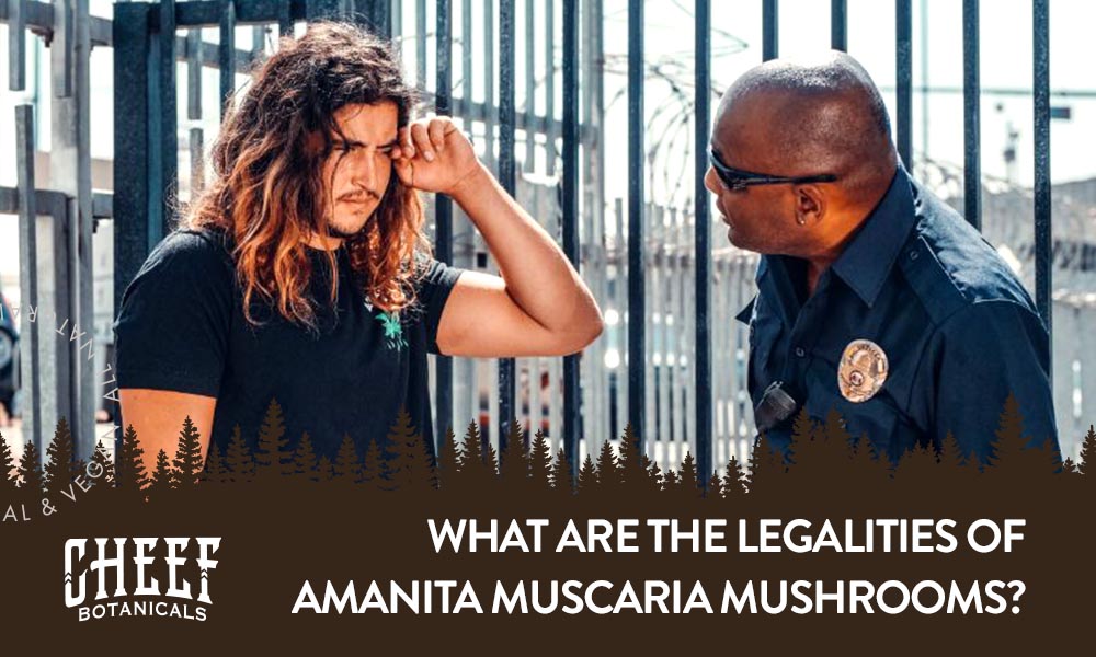 Cheef Botanicals featured blog image: is amanita muscaria legal? Shows police man questioning man