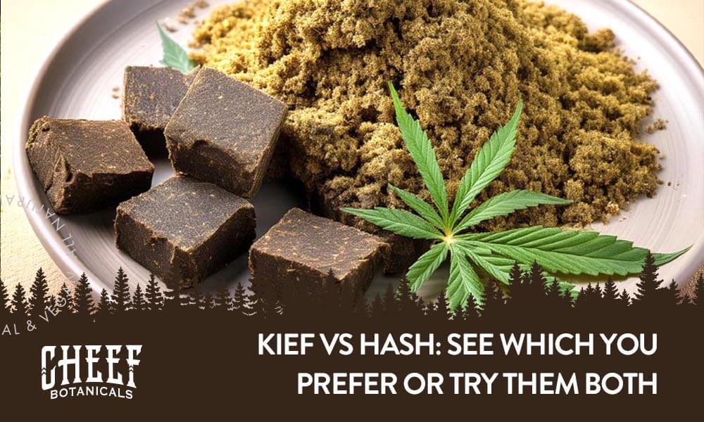 kief vs hash featured blog image for Cheef Botanicals brand. shows a plate of kief and chunks of hash