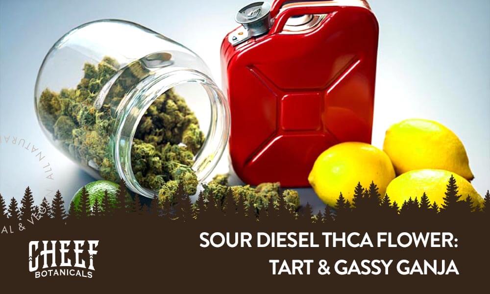 sour diesel THCa flower blog image: flower, gas can, and lemons