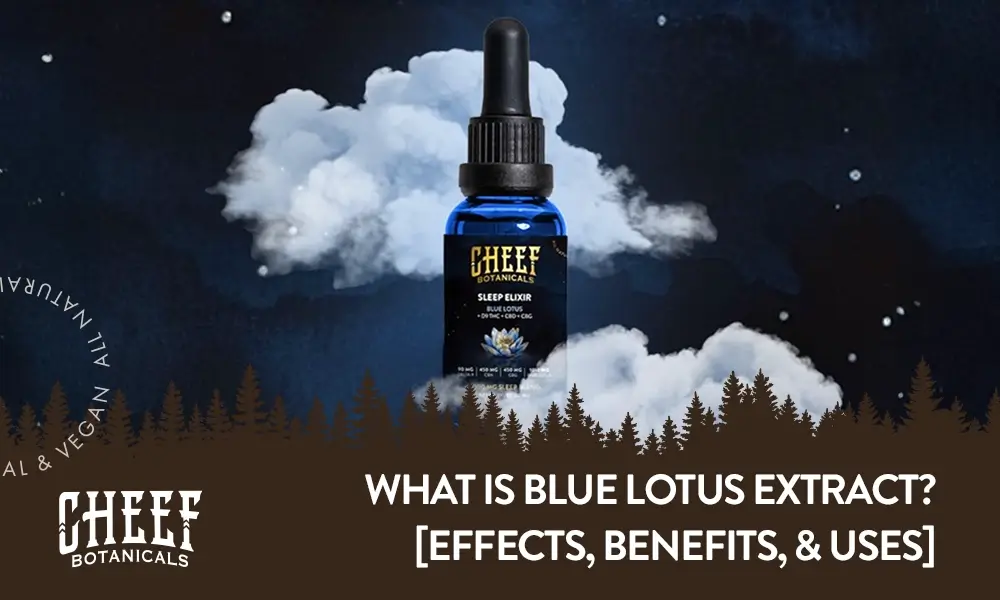 Cheef Botanicals featured image for "What Is Blue Lotus Extract" blog. Shows Cheef Botanicals Blue Lotus Sleep Elixir floating in clouds with starlit background.