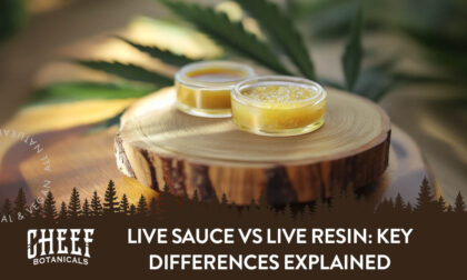 Cheef Botanicals featured image for Live Sauce vs Live Resin bolg. Show a jar of live rosin next to a jar of live sauce